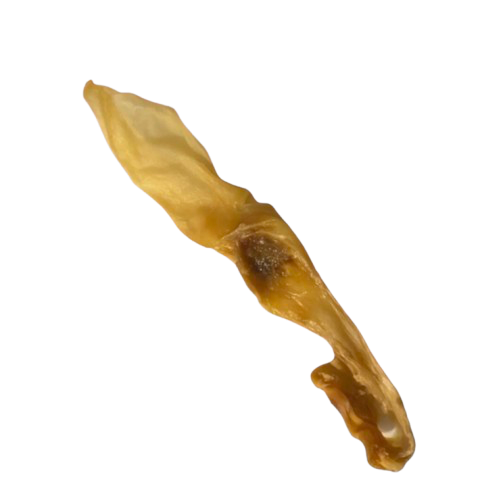 Oreille de lapin (sans poils) - unité