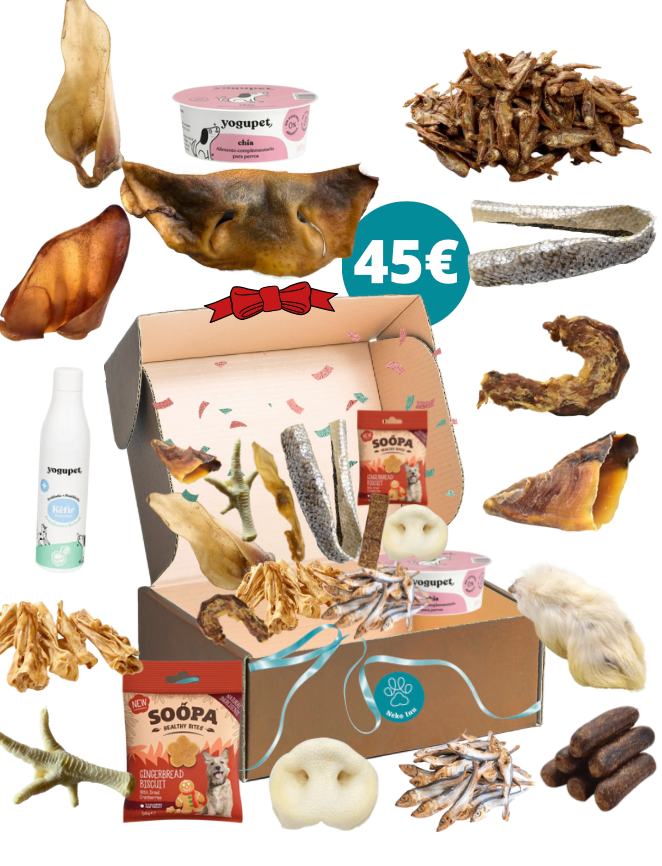 Calendrier de l'avent / Box Noël - Mastications (Livraison - Mi Novembre)