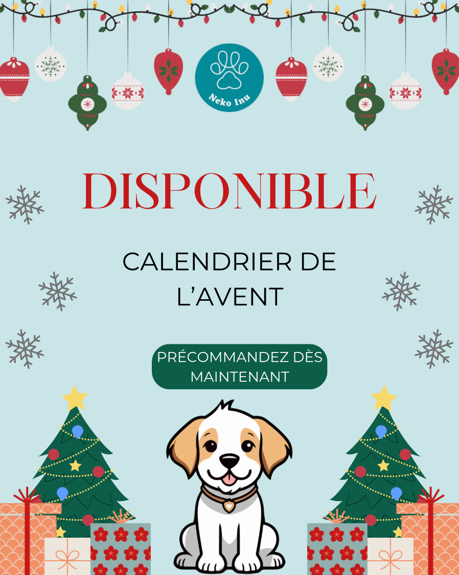Calendrier de l'avent / Box Noël - Mastications (Livraison - Mi Novembre)