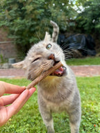 Sticks de Matatabi