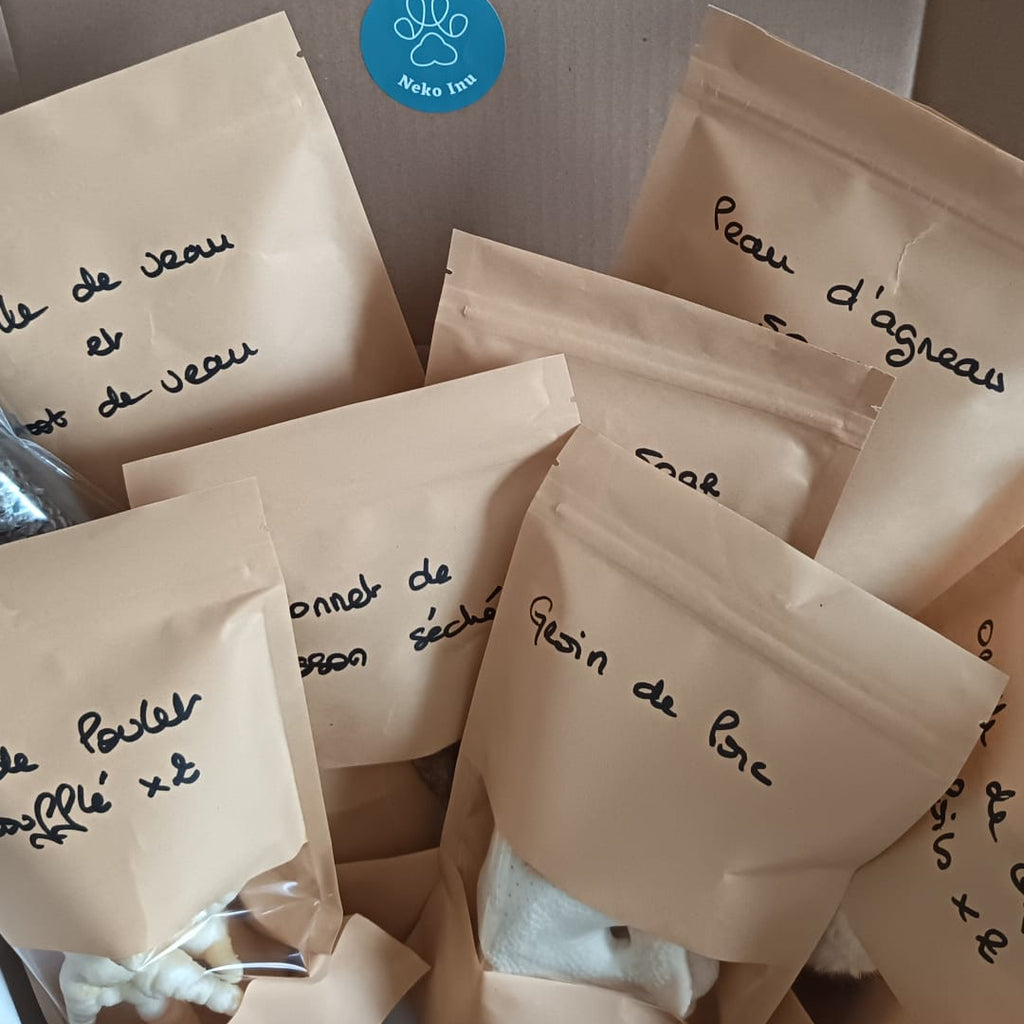 Box Mastication : Chiot