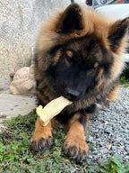 Oreille d'agneau - unité