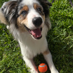 Balle de Tennis Chuckit - Lot de 2