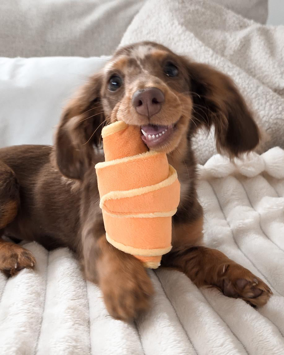 Croissant de fouille