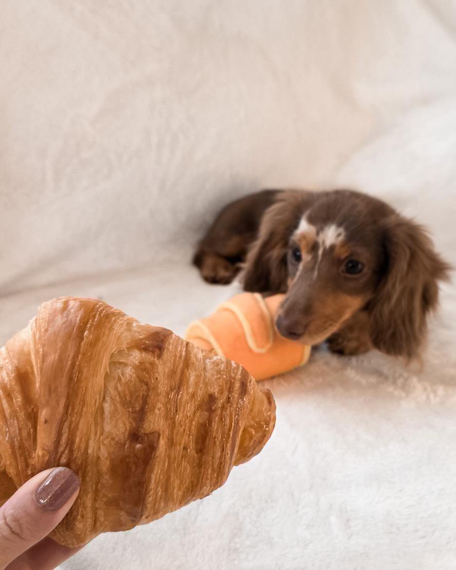 Croissant de fouille Rose (petit)