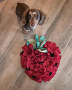 Tapis de Fouille Fraise