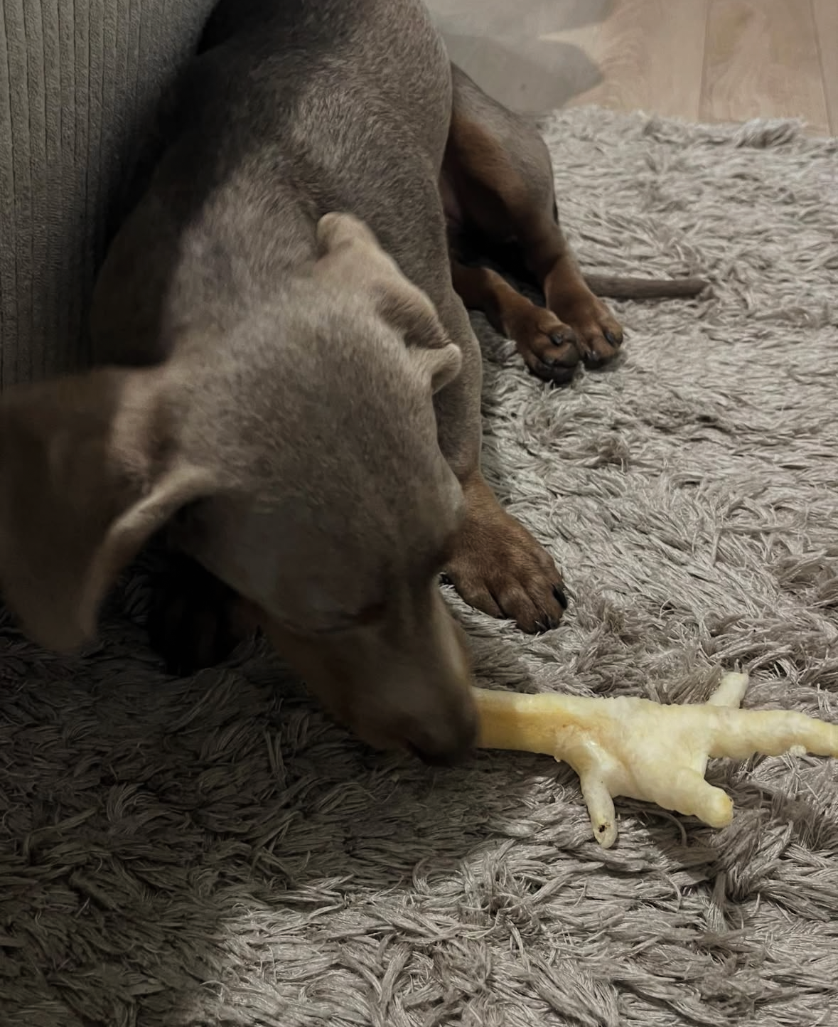 Pied de poulet soufflé - Unité