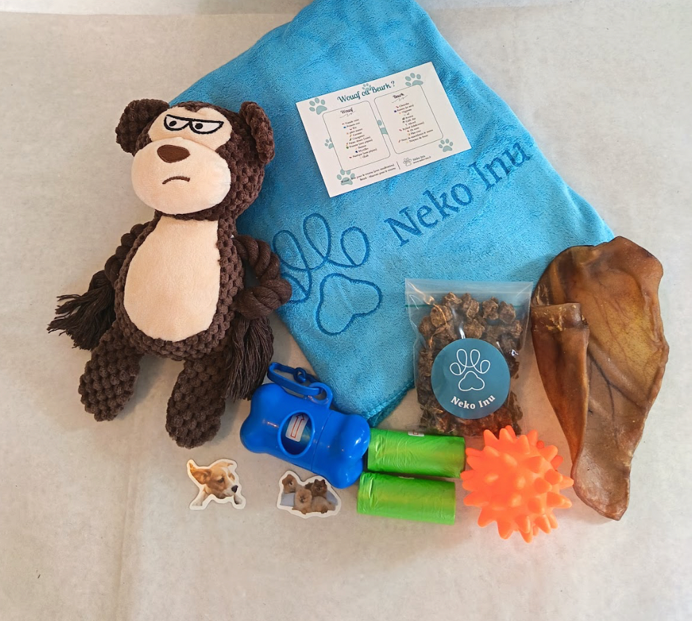 Box Essentielle pour Chien