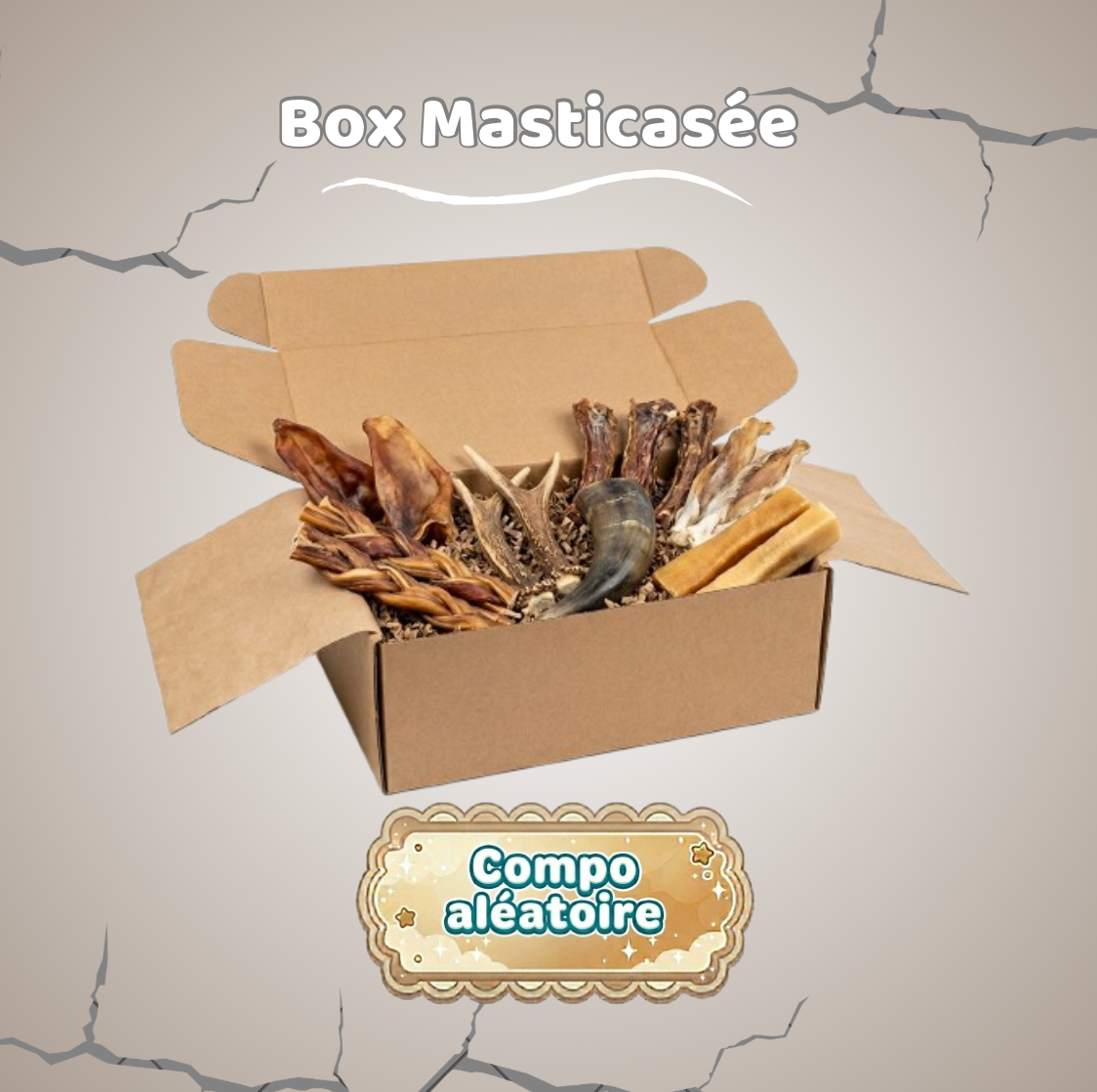 Box Masticassée