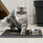 Tapis Litière Chat