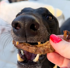 Cou de poulet - Unité