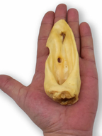 Oreille d'agneau - unité