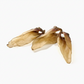 Oreille de Veau
