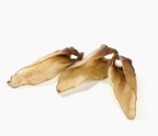 Oreille de Veau