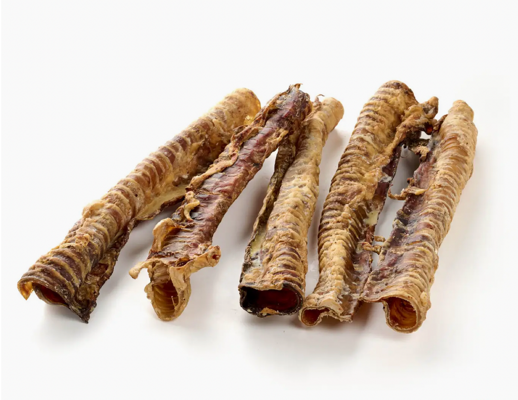 Trachée de bœuf 30cm - Unité