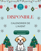 Calendrier de l'avent / Box Noël - Mastications (Livraison - Mi Novembre)
