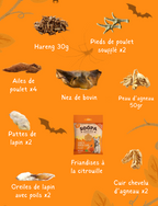 Box Mastication Octobre
