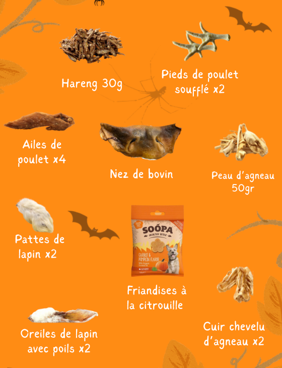 Box Mastication Octobre