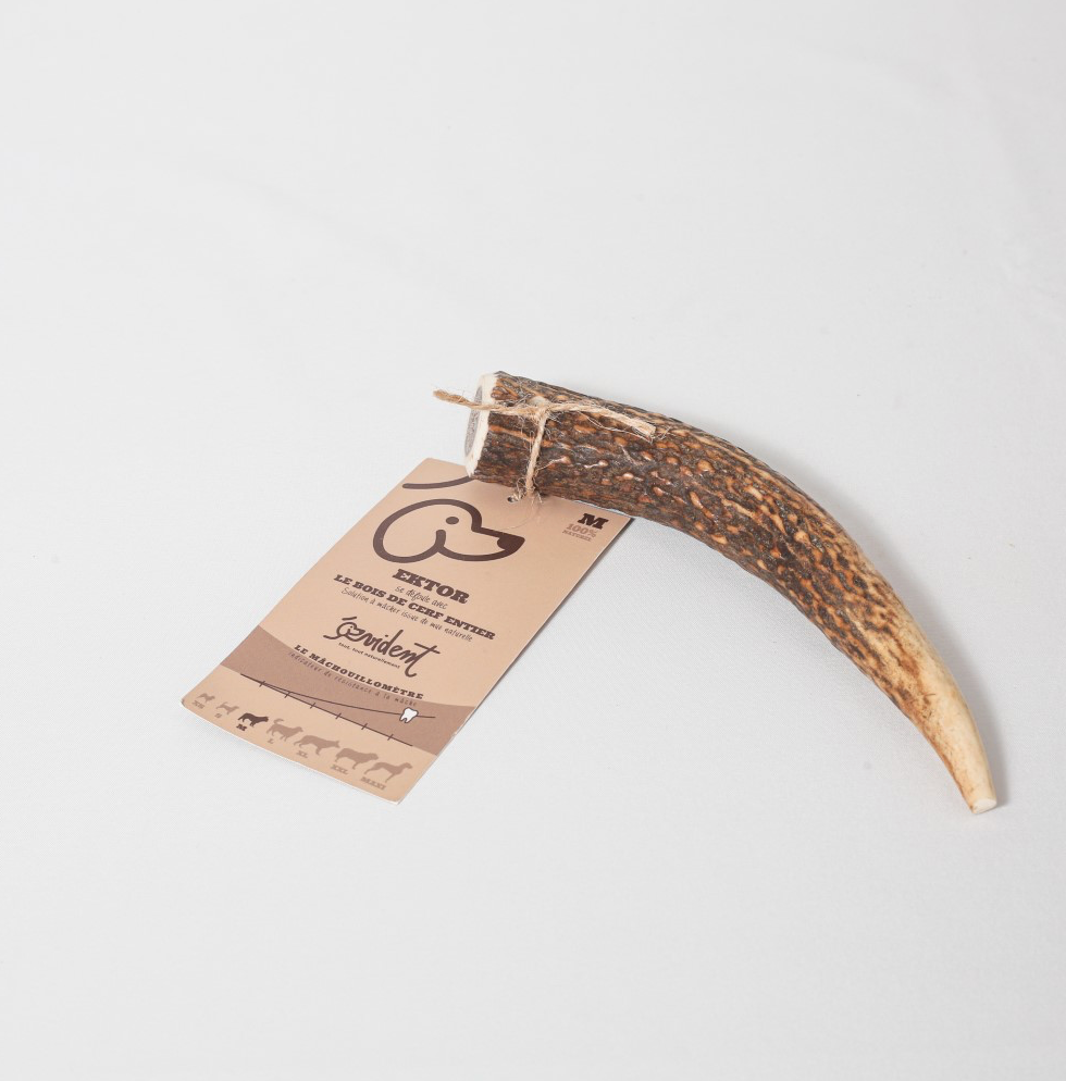 EKTOR - Bois de cerf entier à mâcher pour chien