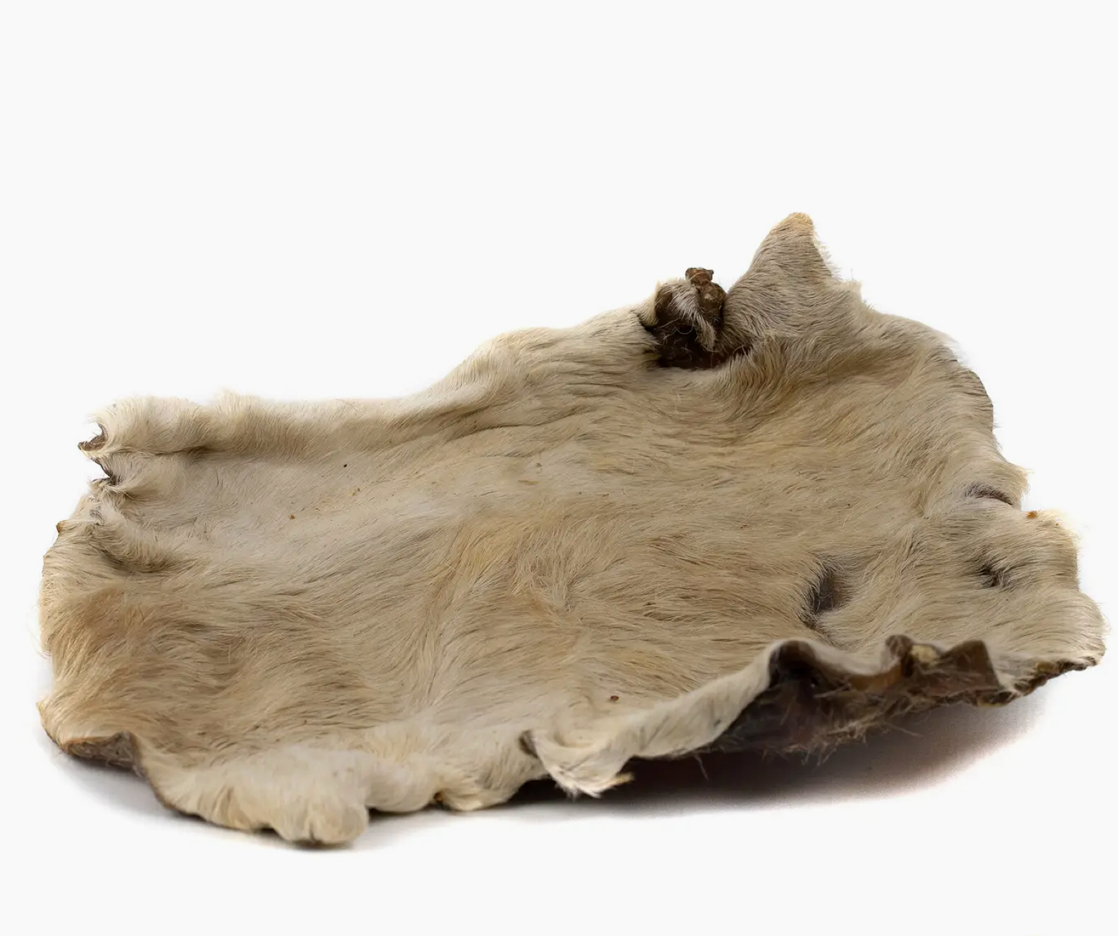 Plaque de peau de Boeuf