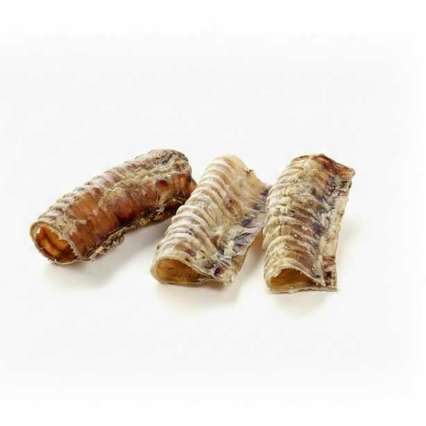Trachée de bœuf 15cm - Unité