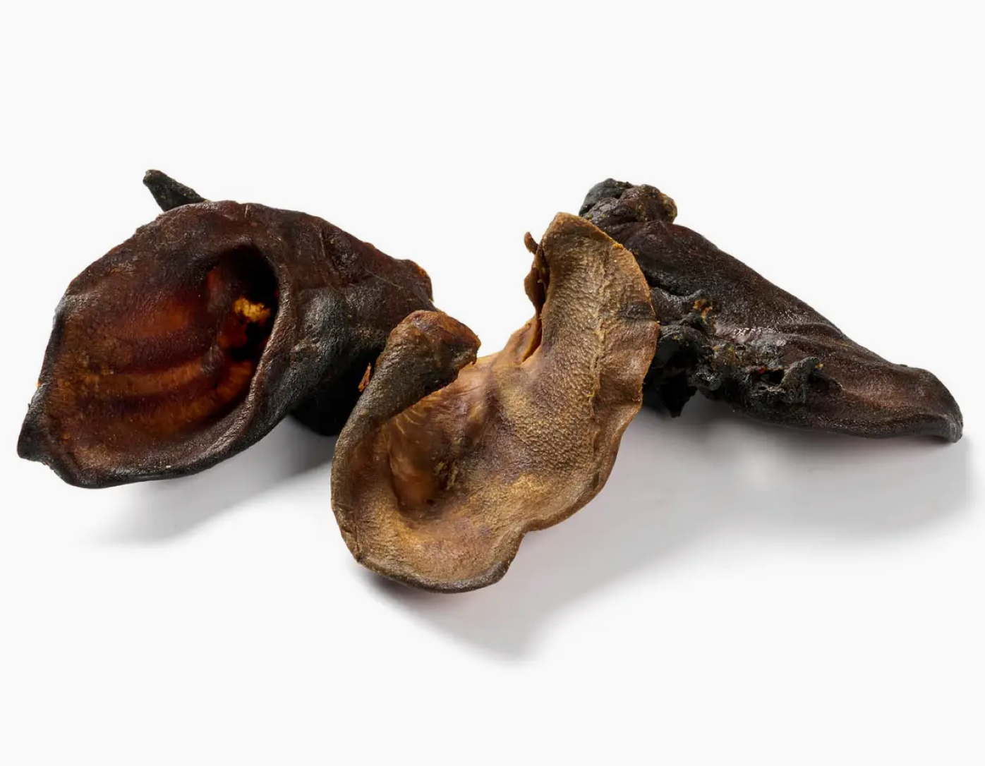 Oreille de sanglier sans poils