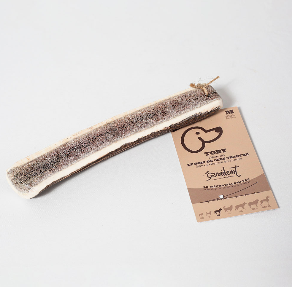 TOBY - Bois de cerf tranché