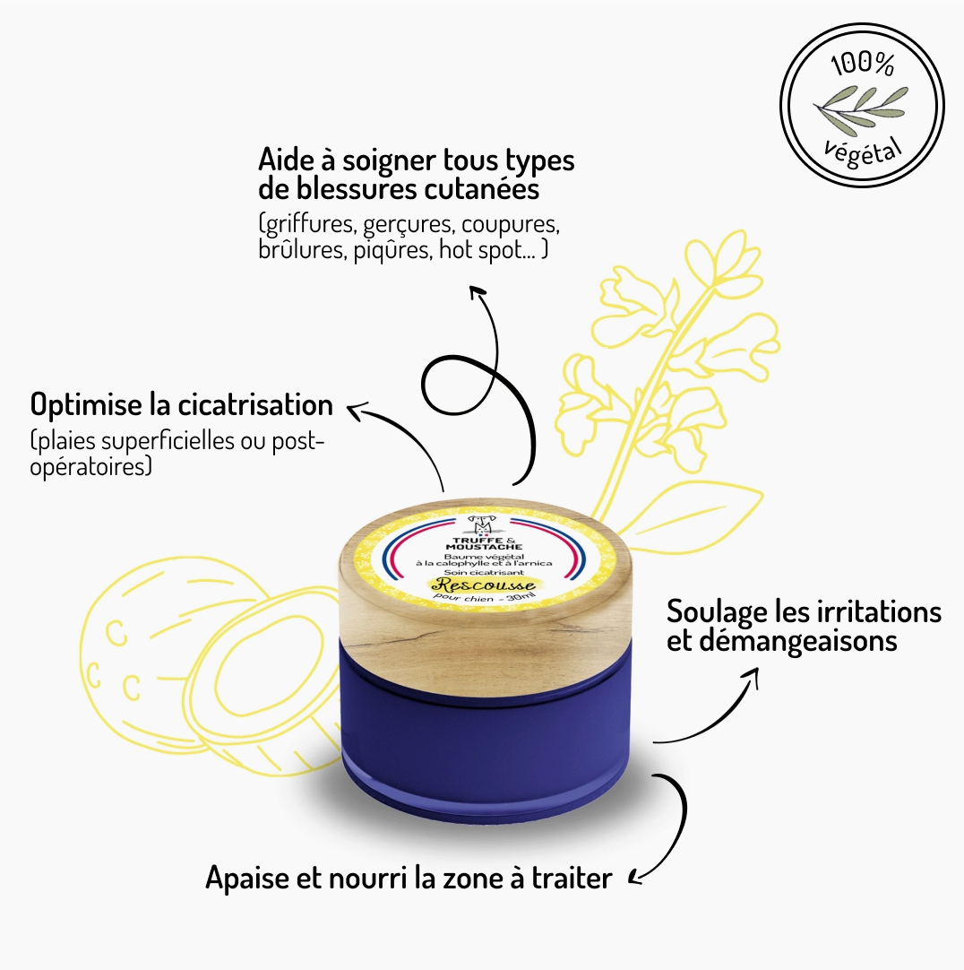 Rescousse - Baume de Soin Cicatrisant pour chien