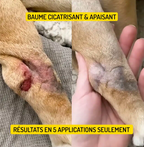 Rescousse - Baume de Soin Cicatrisant pour chien