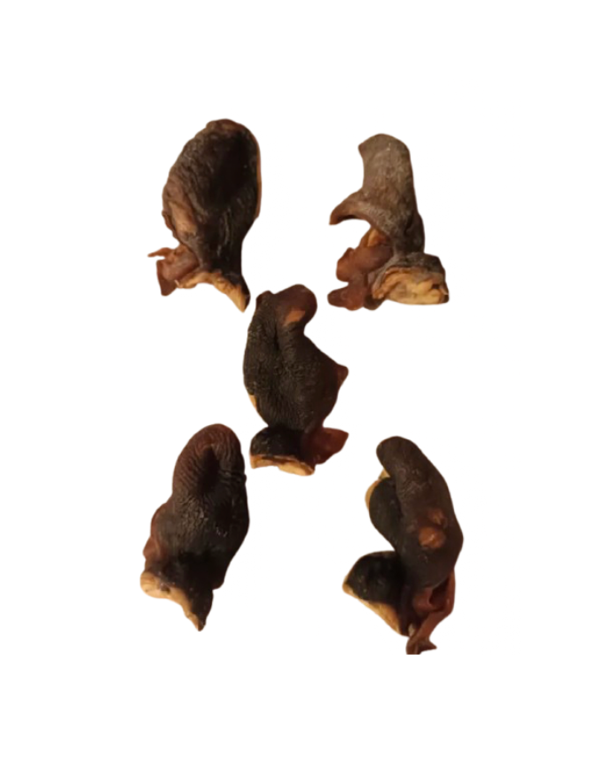 Tête de poulpe - 100 gr