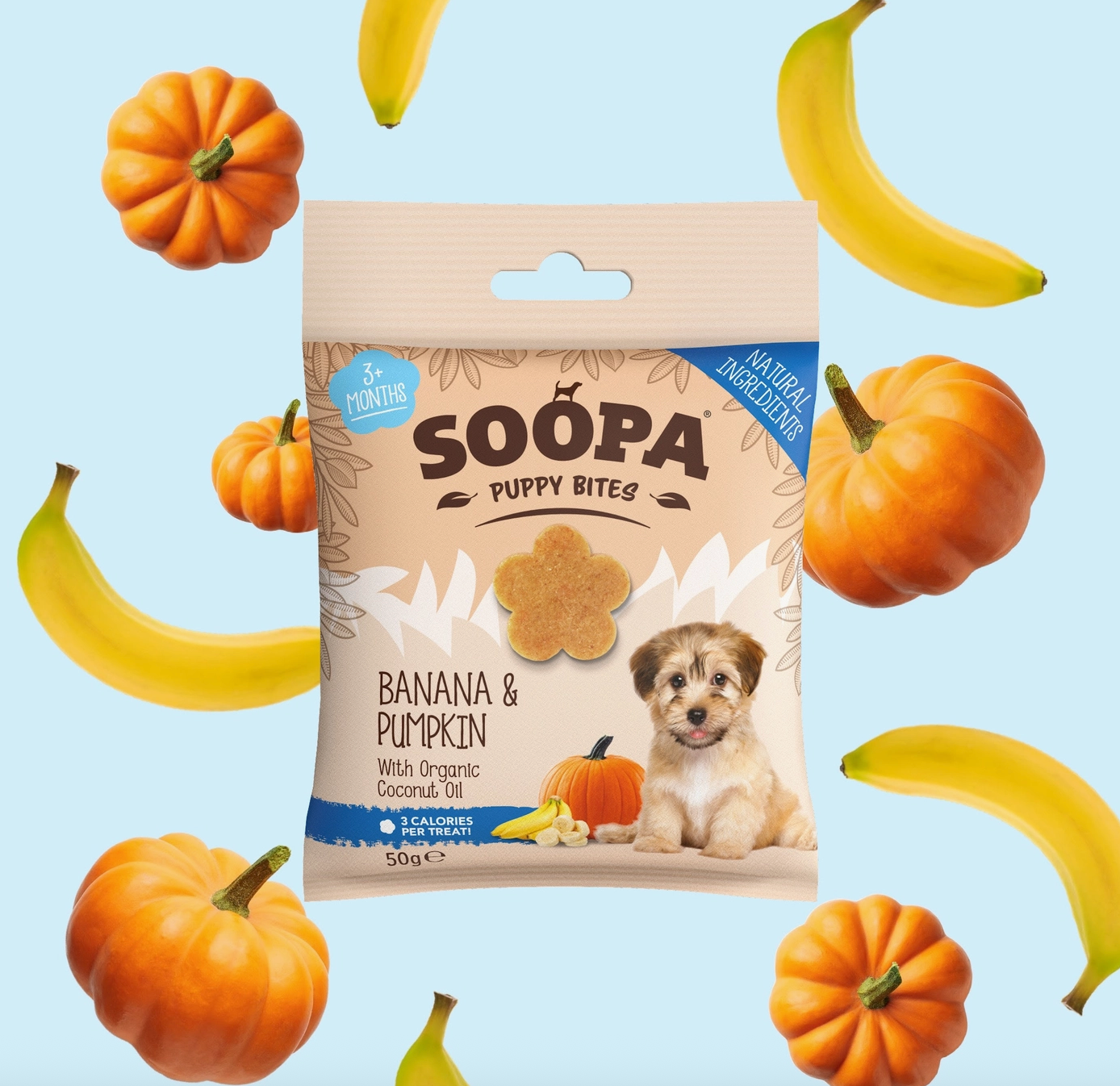 Friandises - Banane Citrouille (chiot)