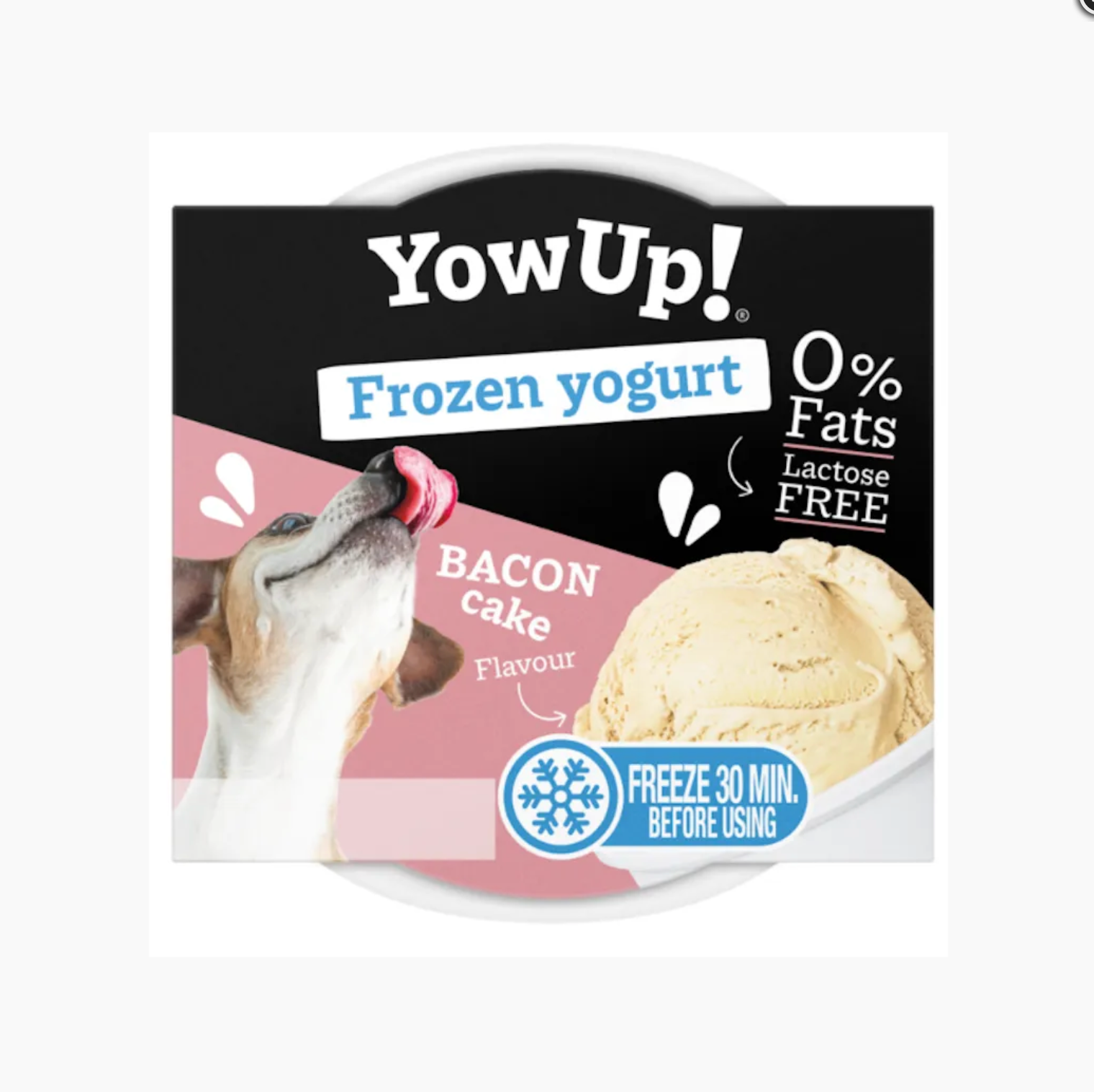 Glace Yow-up - Bacon/Cake