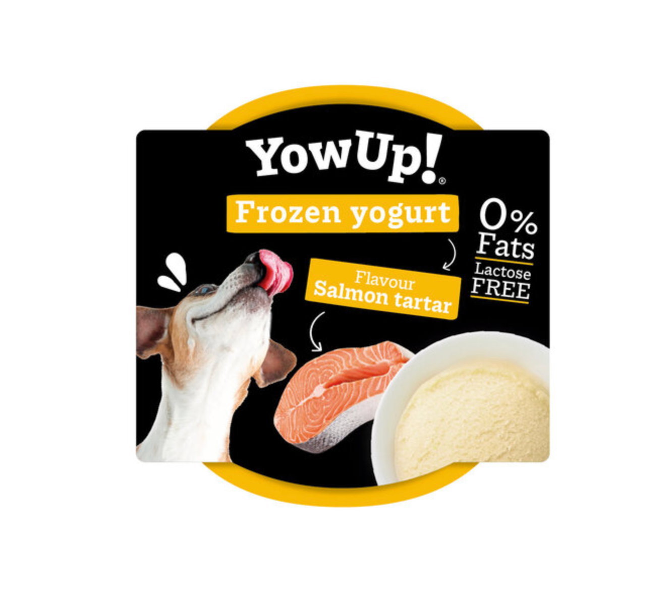 Glace Yow-up - Saumon