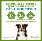 Whimzees - Friandises dentaires - Unité