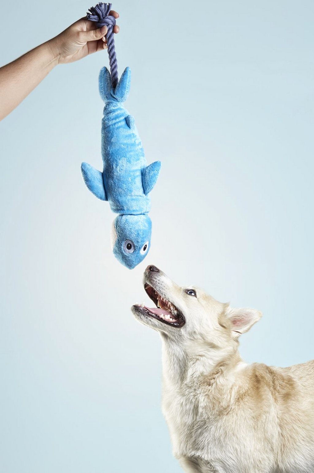 Peluche Corde - Requin
