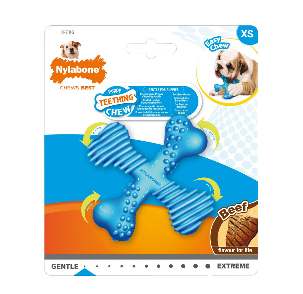 Nylabone - Os à mâcher pour chiot -  Goût Boeuf