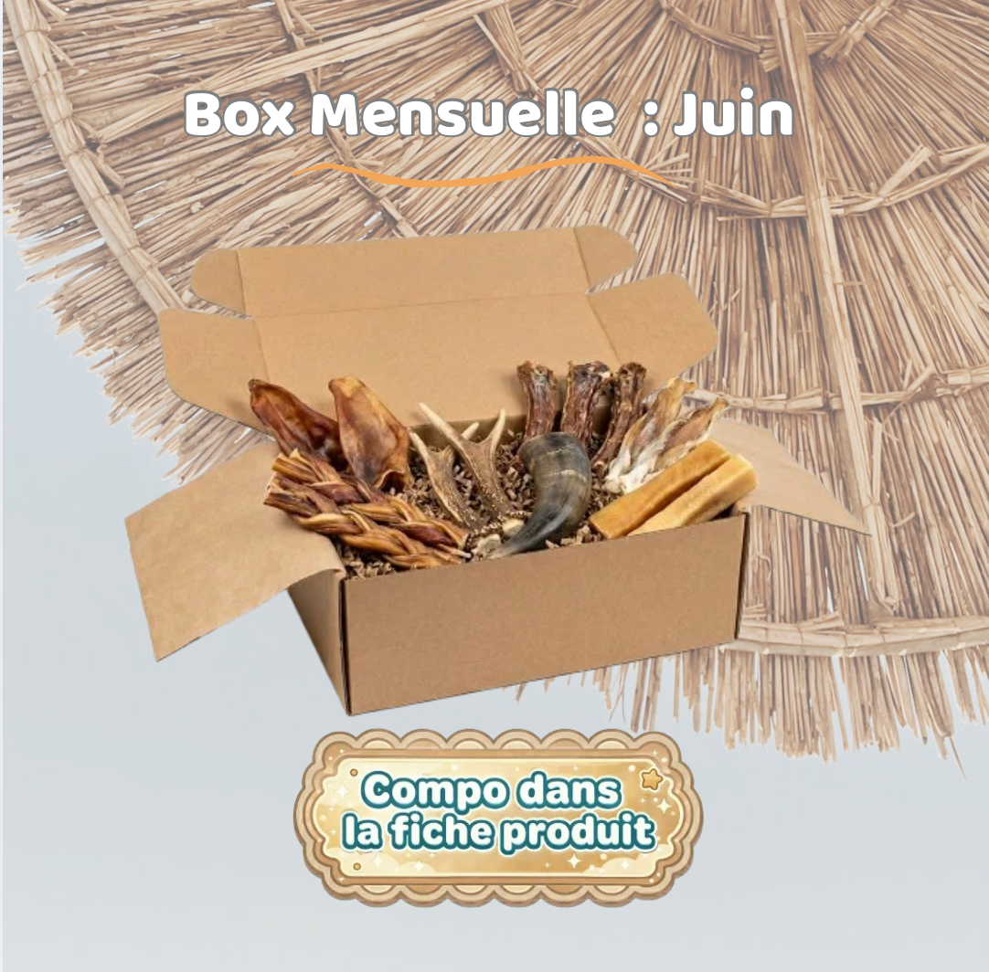 Box Mastication - Juin
