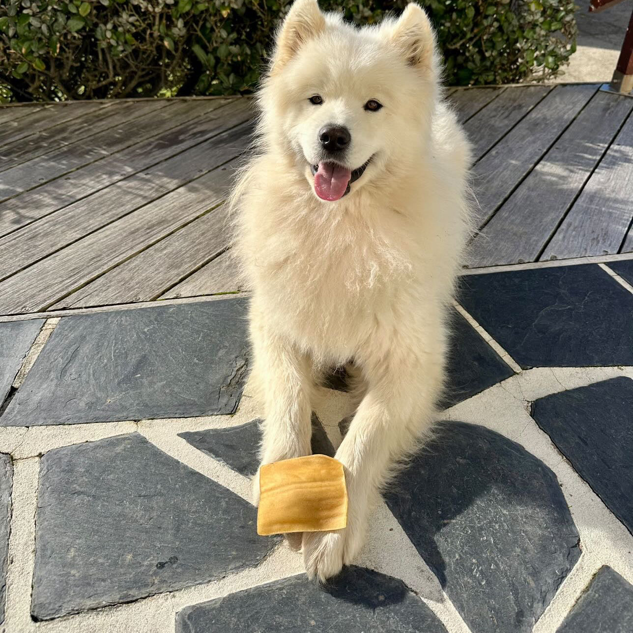 Chips de bœuf - unité