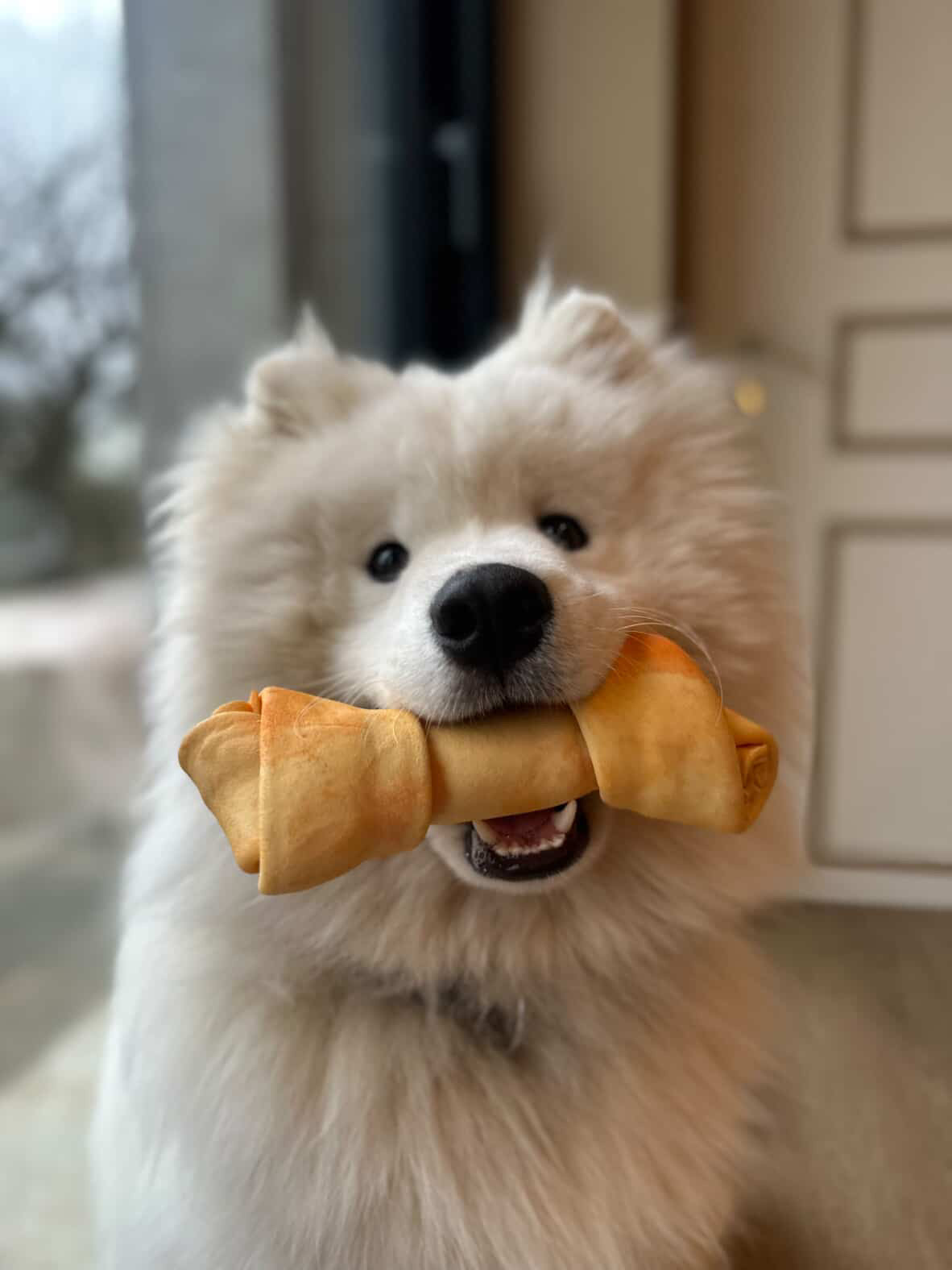 Peau de vache Mangue