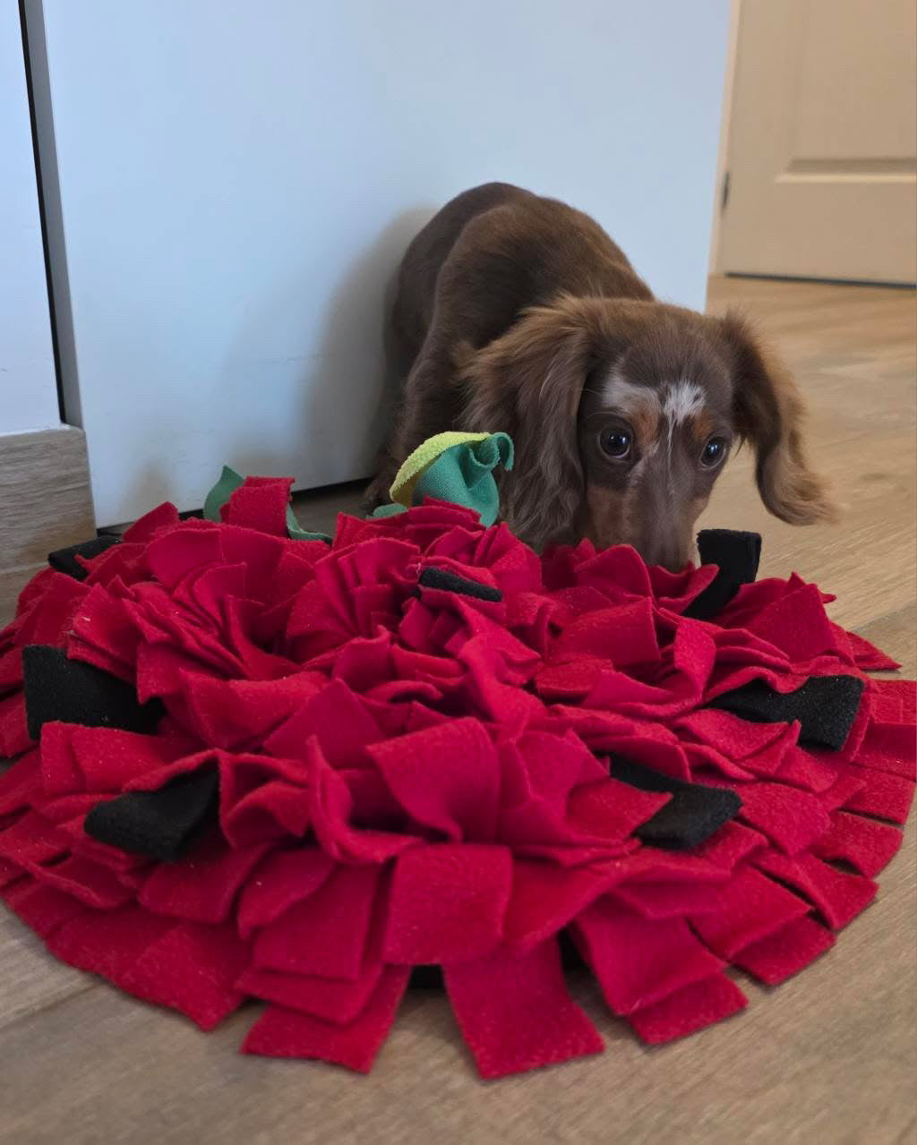 Tapis de Fouille Fraise