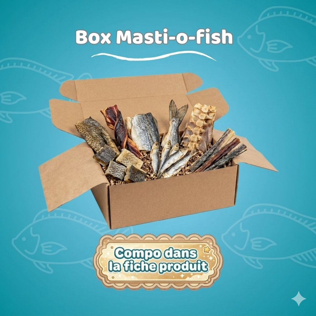 Box Mastic-o-fish