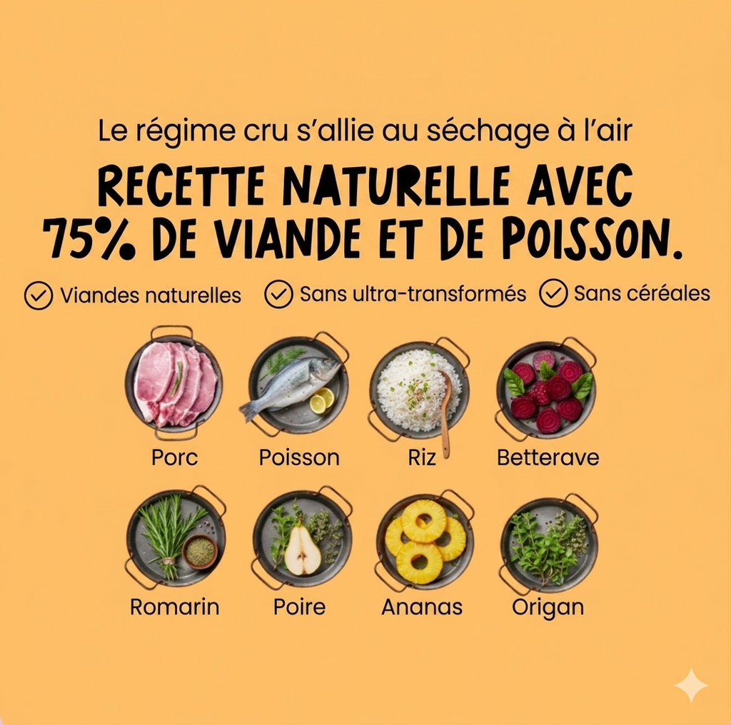 Cocosi - Bouchées humides - Porc