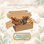 Box Mastication : Estomac Sensible