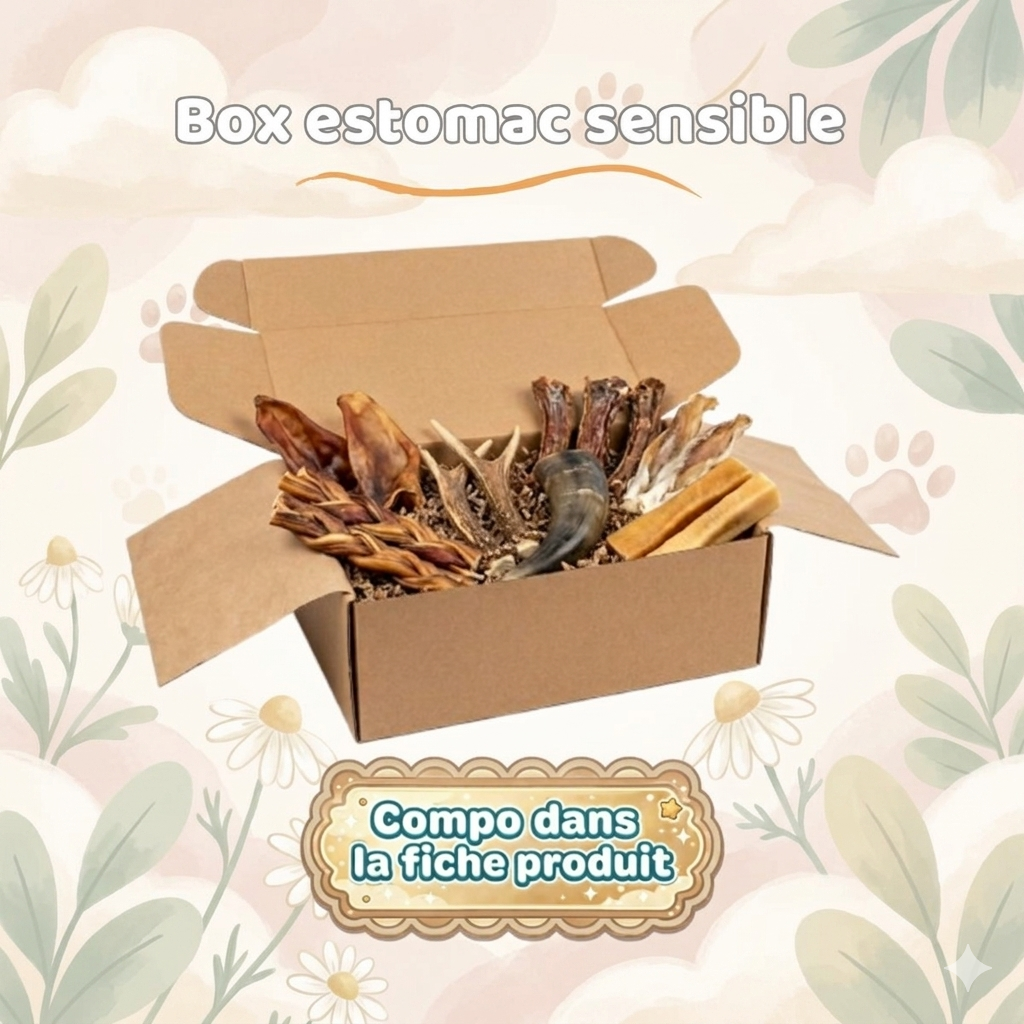 Box Mastication : Estomac Sensible