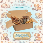 Box Mastication : Chiot
