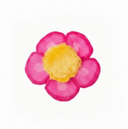 Fleur Rose Chat -  Cataire