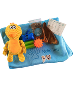 Box Essentielle pour Chien