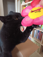 Fleur Rose Chat -  Cataire