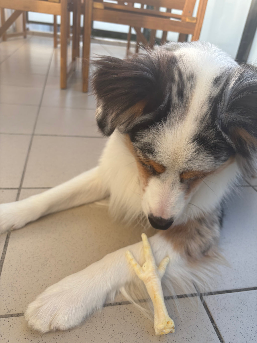 Pied de poulet soufflé - Unité