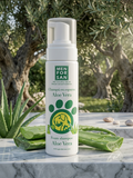 Shampoing sec à l'Aloe Vera